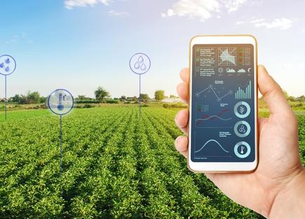 Tech Productivity and Efficiency